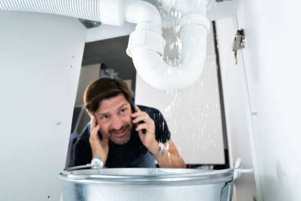 Best 24-Hour Plumber Near Me  in Atwater, MN